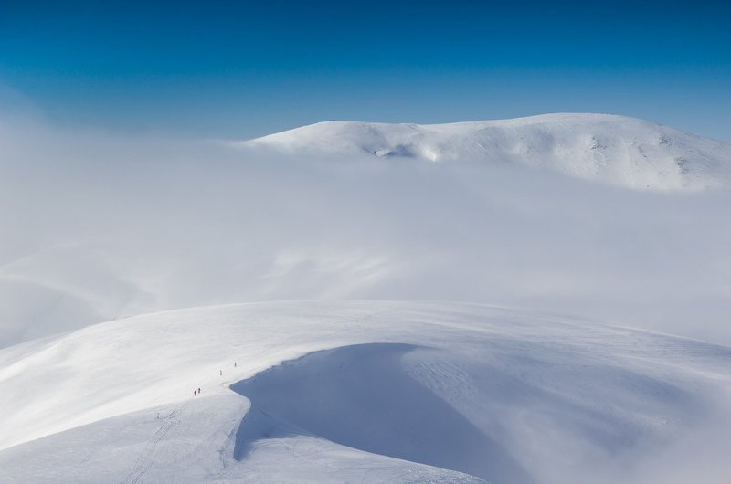 Без названия фото превью