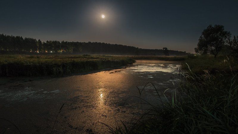 Летняя ночь фото превью