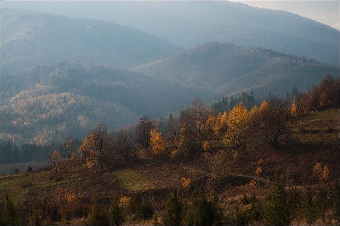 , Полищук И.В.