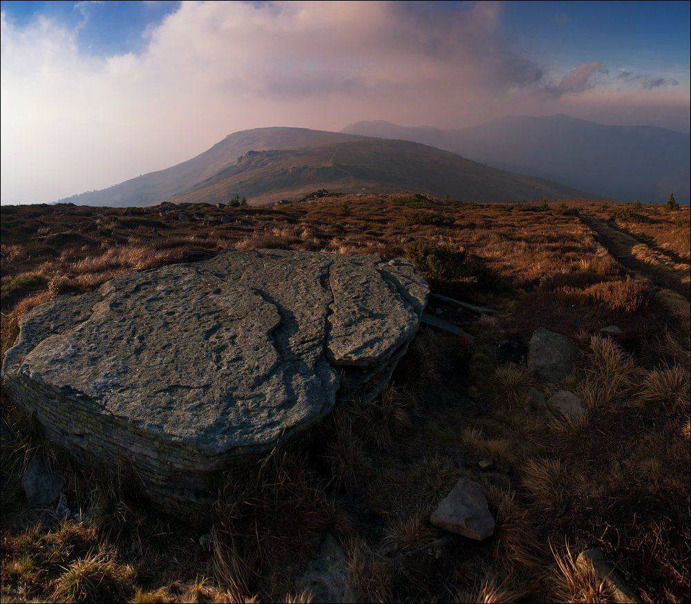 , Полищук И.В.