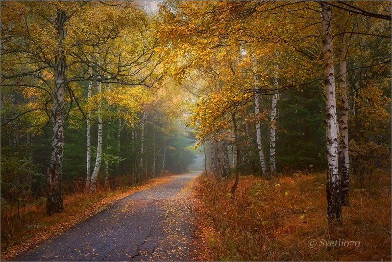 bulgaria, vitosha  фото превью