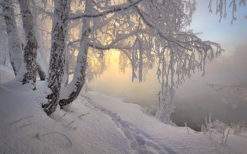 Утро красит нежным светом