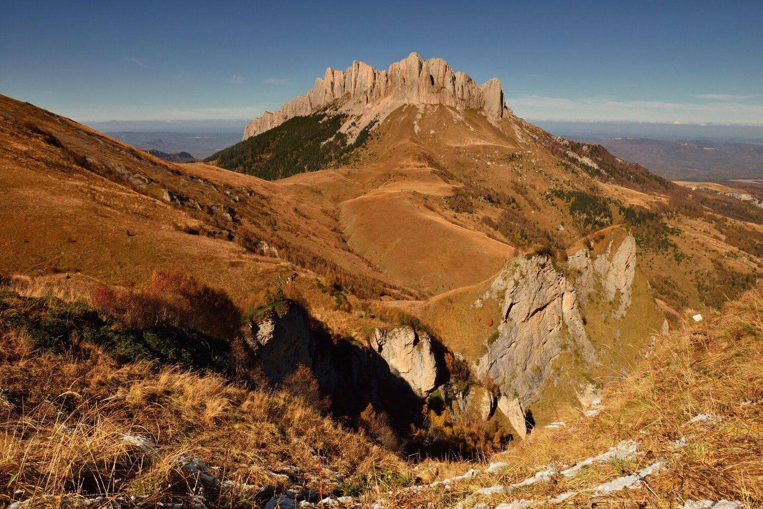 , Максим Евдокимов