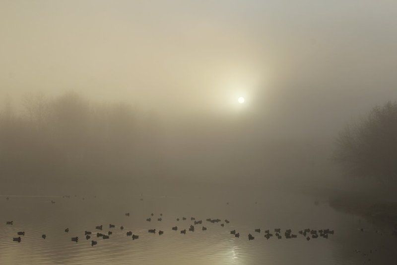 ноябрьское утро фото превью