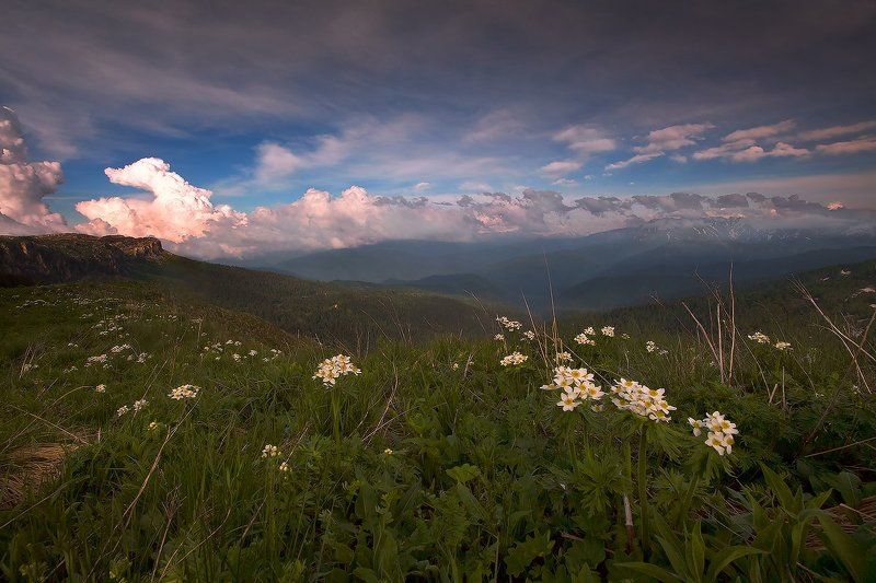 Куда летят драконы?) фото превью