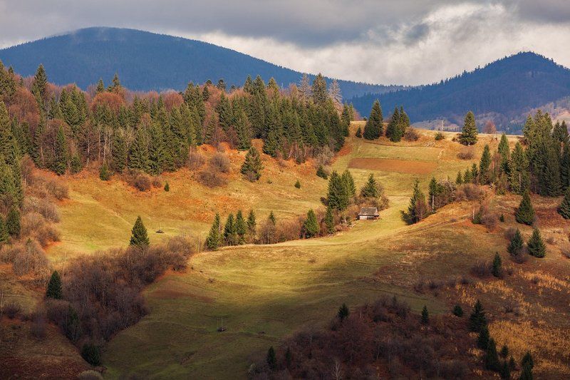 Ноябрь в Закарпатье фото превью