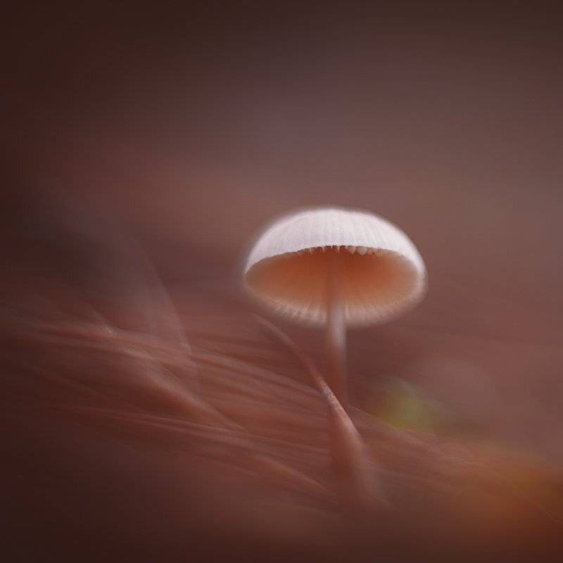 , Татьяна Аверина