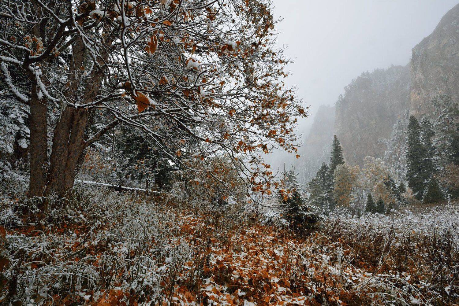 , Максим Евдокимов