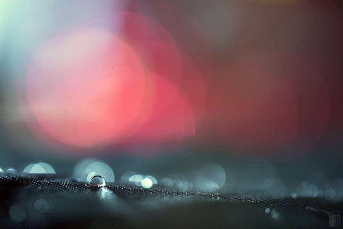 , Дмитрий Доронин