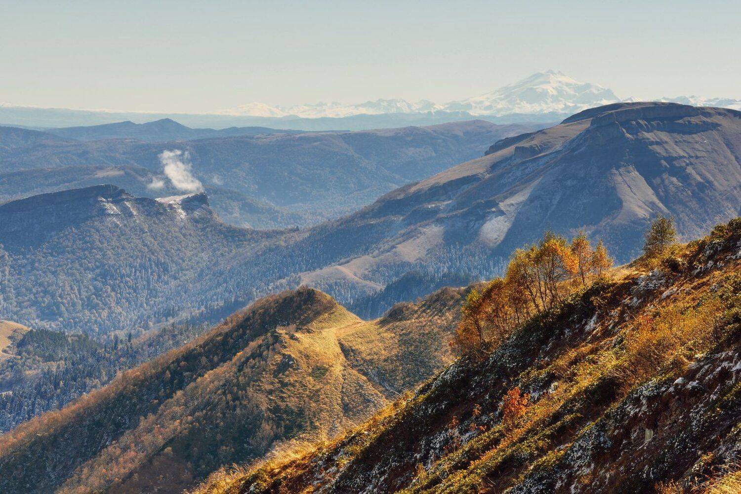 , Максим Евдокимов