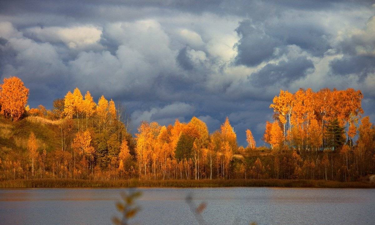 , Валерий Кондратов