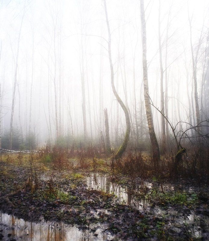 Осеннее фото превью