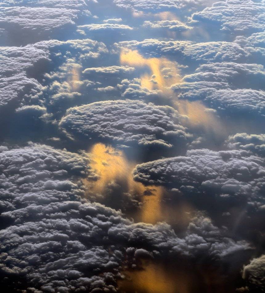 , Людмила Прокофьева