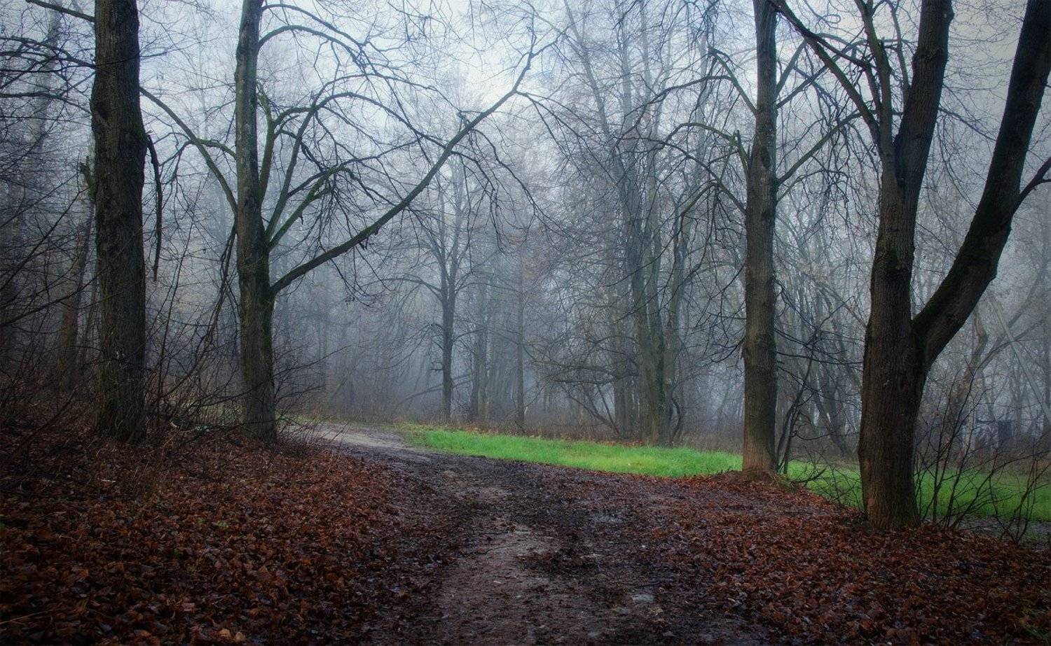 , Владимир Жуков