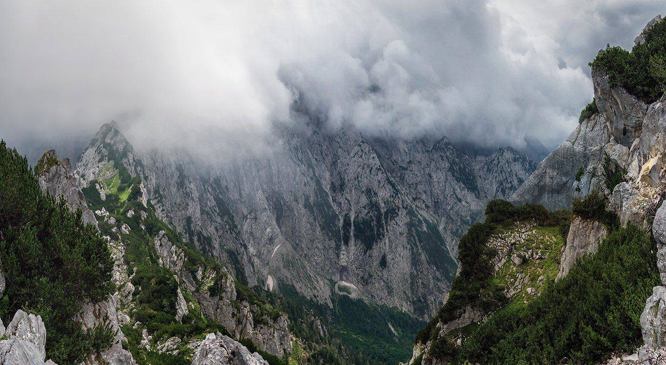 , Игорь Мелекесцев