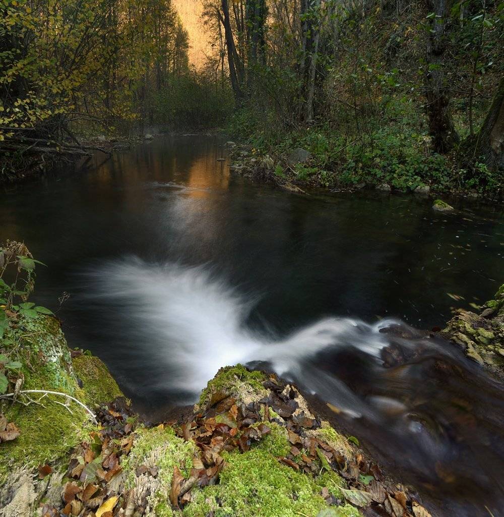, Румен Паисиев
