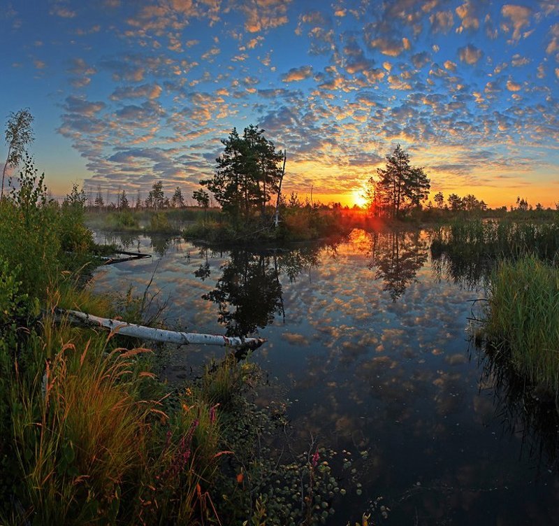 Рассвет на Шатурских болотах. фото превью
