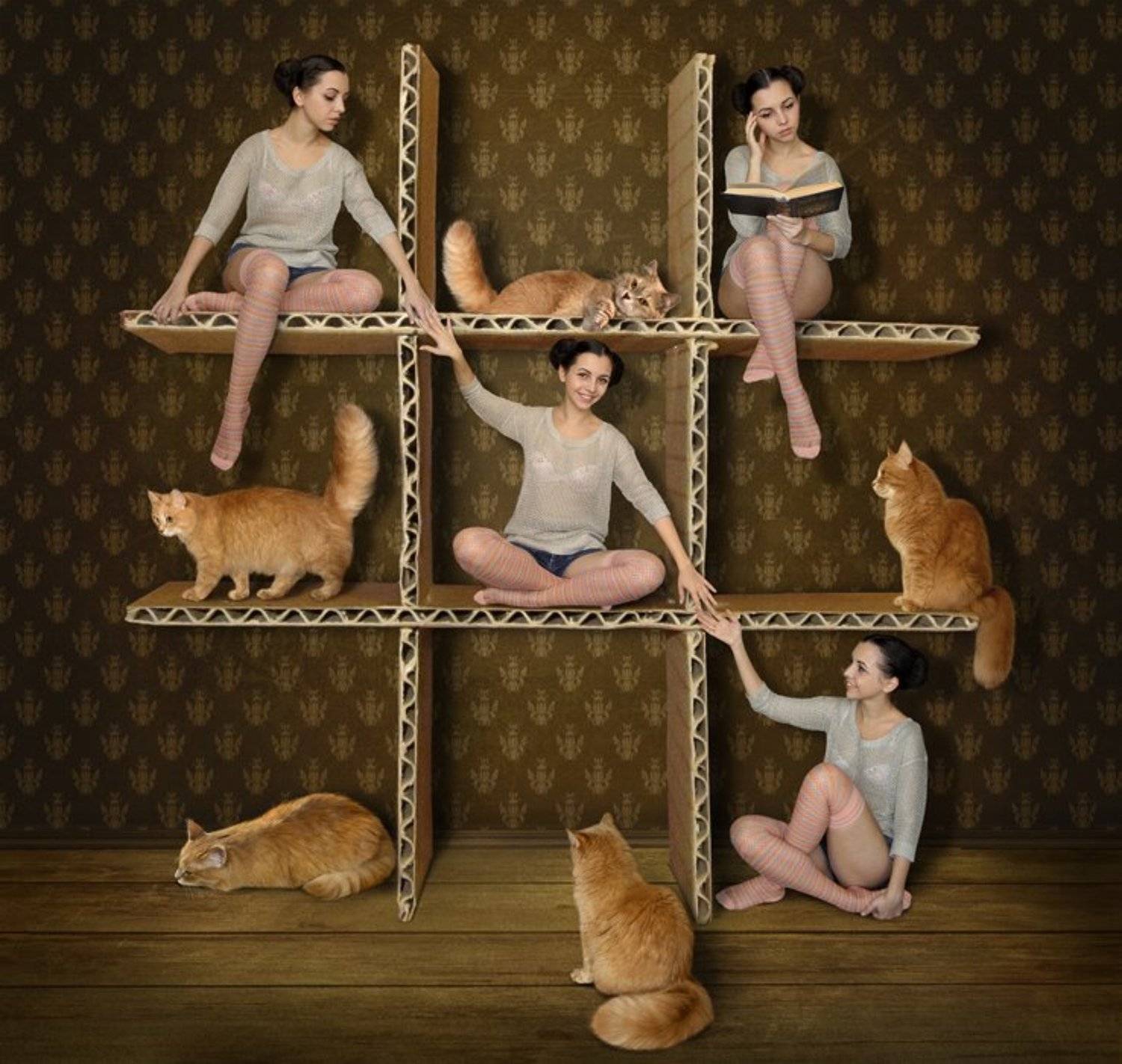 Девочки, Кошки, Крестики-нолики, Юмор, Iridi (Ирина Кузнецова)