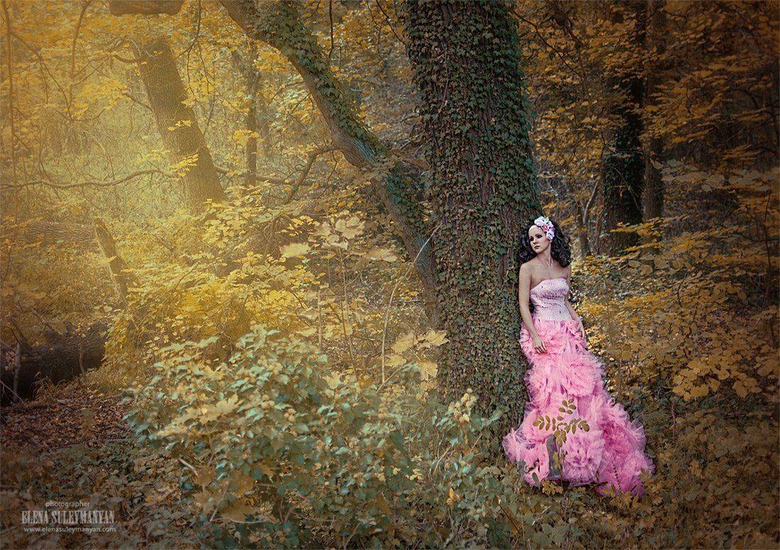 , Сулейманян Елена