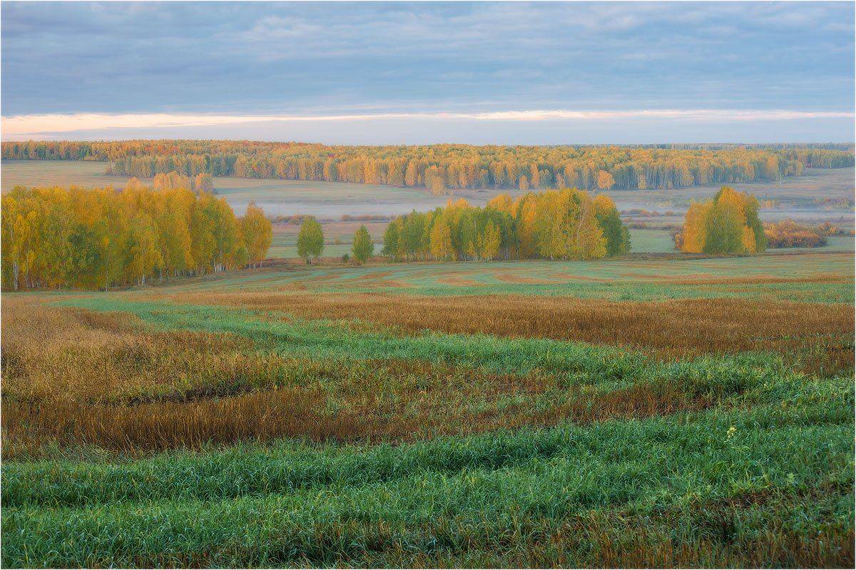 , Кутыгин Эдуард