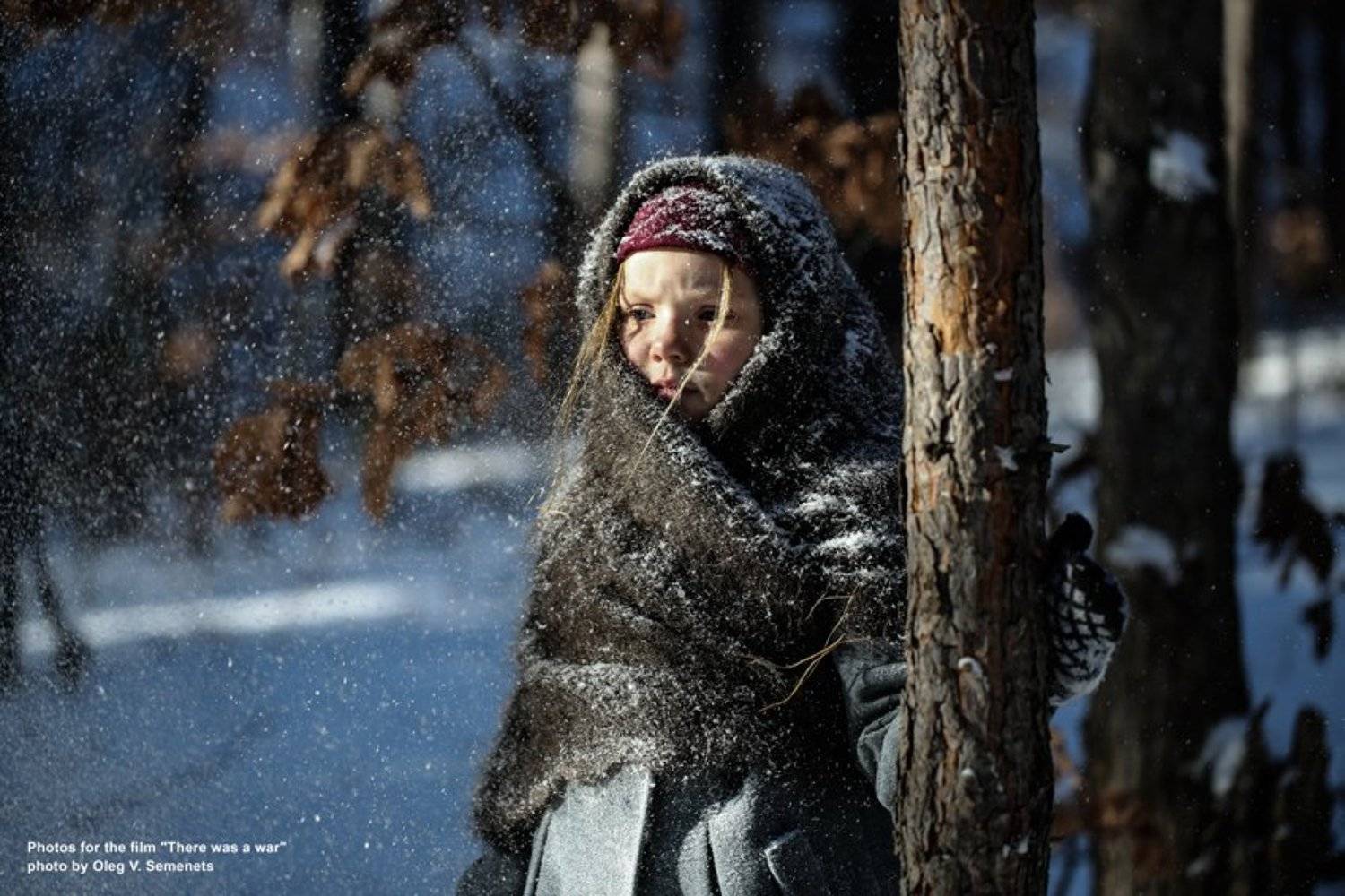 , Олег Семенец