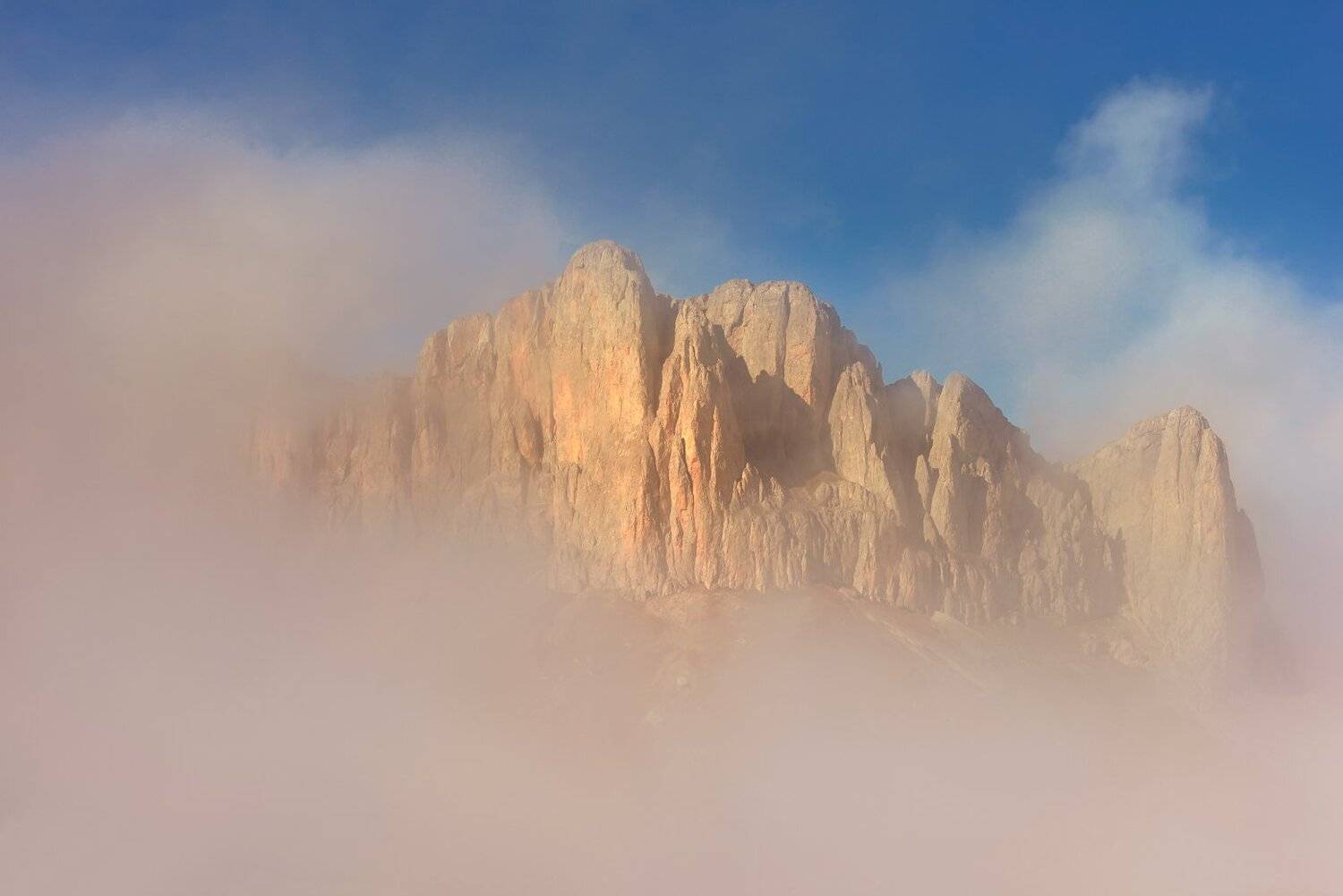 , Максим Евдокимов