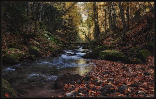 По осеннему Рожку...