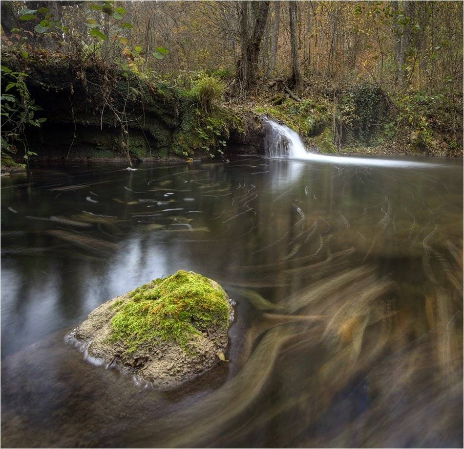, Румен Паисиев