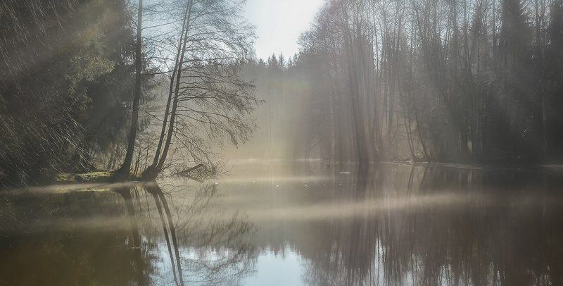 Солнечный дождь фото превью