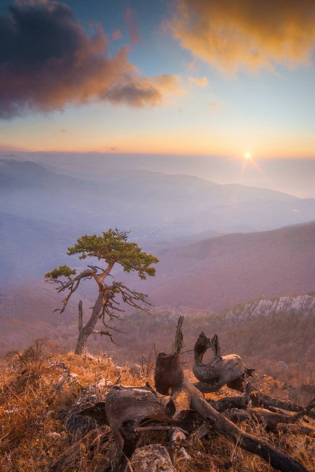 , Виталий Башкатов