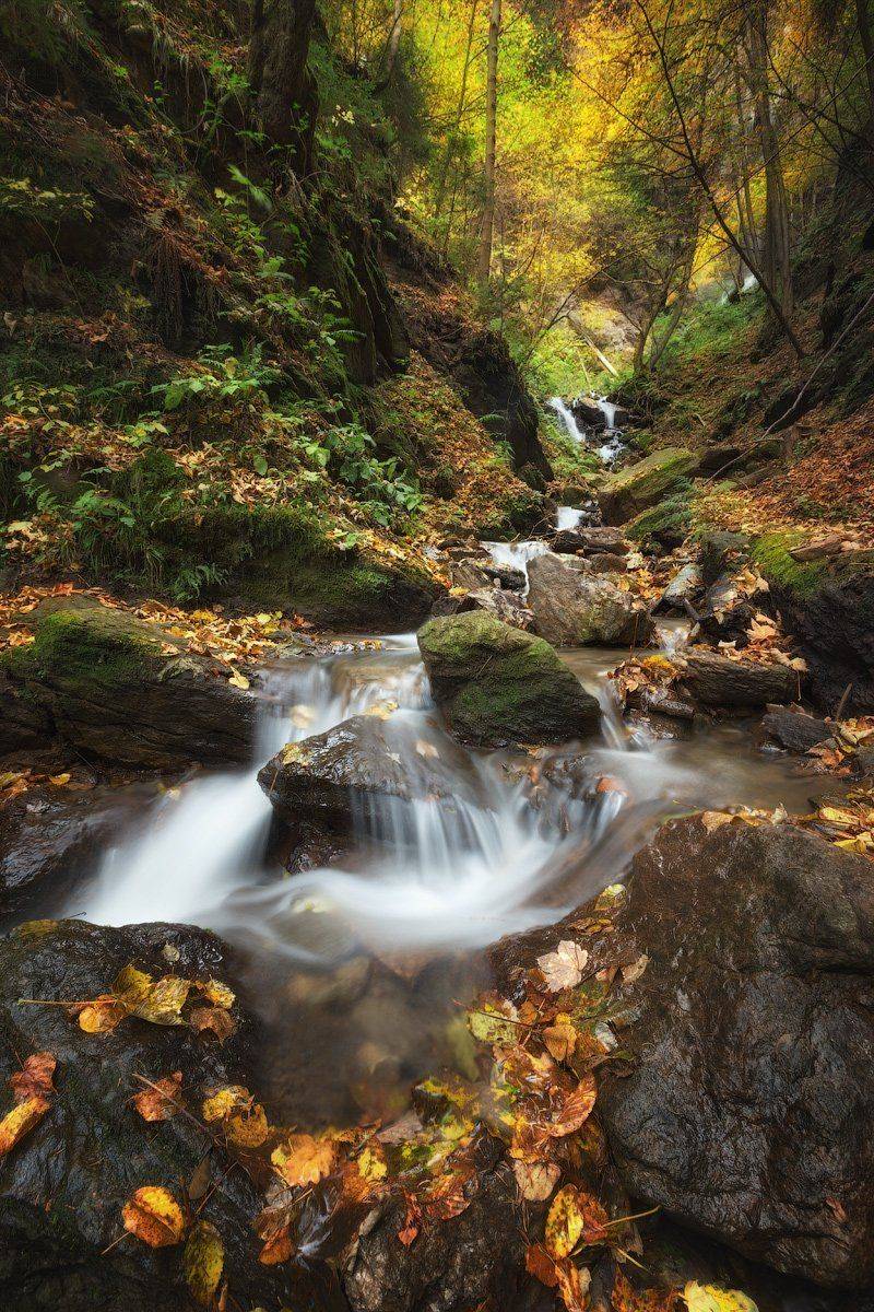 Austria, Finsterbach wasserfalle, Sattendorf, Австрия, Денис Сорокин