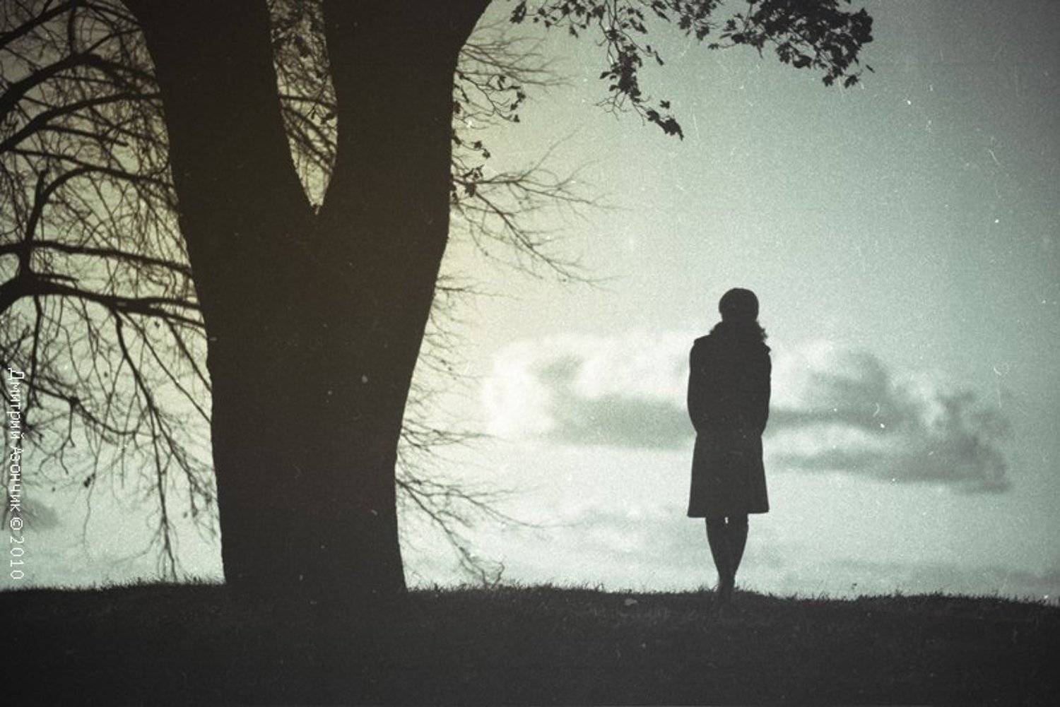 , Дмитрий Азончик