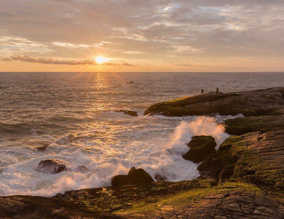 , Людмила Прокофьева