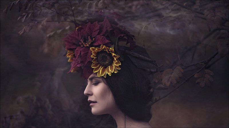 autumn flowers фото превью