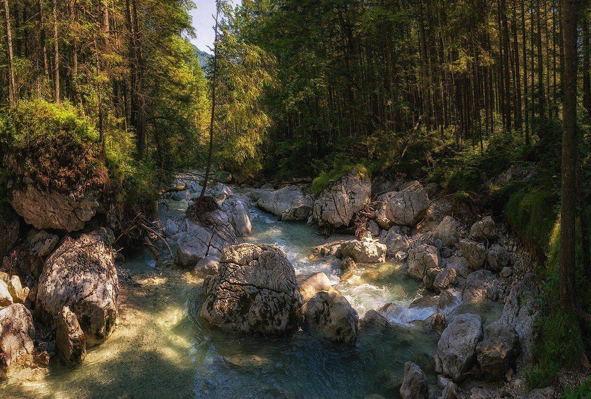 , Игорь Мелекесцев