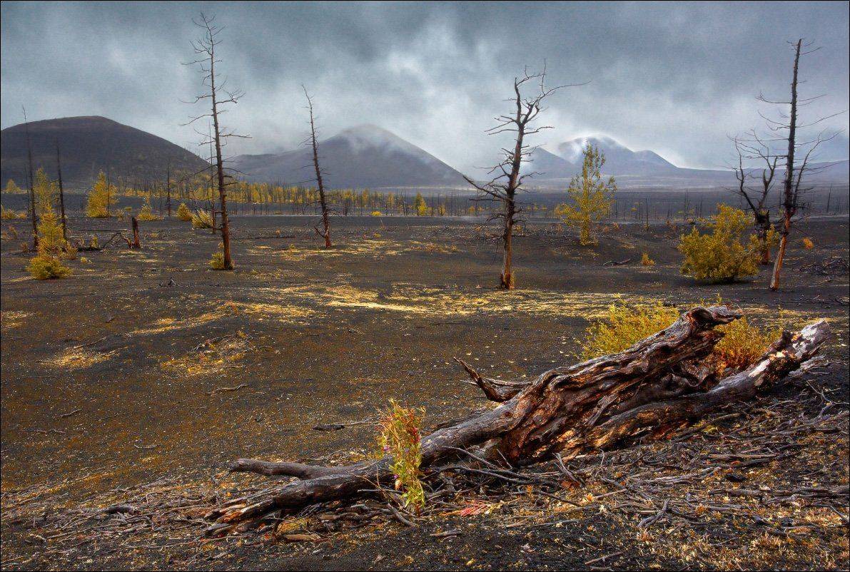 , Вадим Никифоров