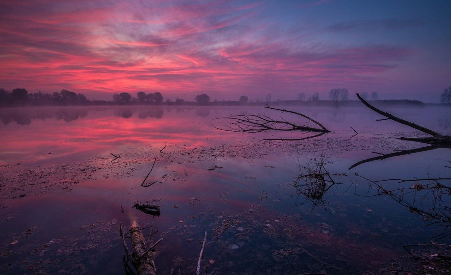 , Philip Peynerdjiev