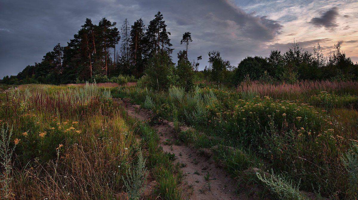 купавна., подмосковье, Андрей Леонидович