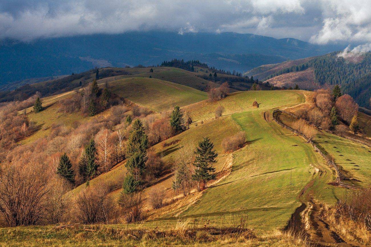 , Игорь Иванов