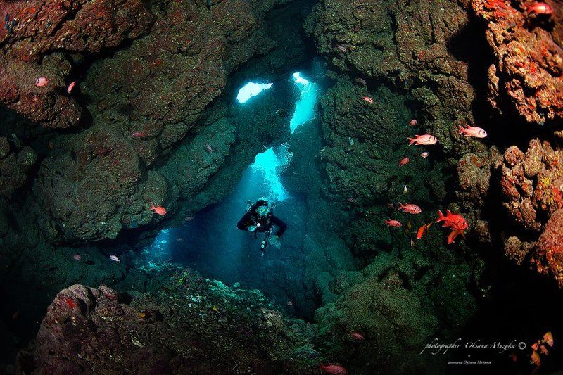 Сафари по Красному морю. фото превью