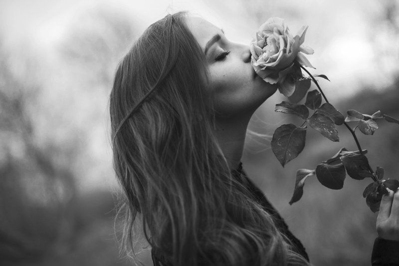 Sense фото превью