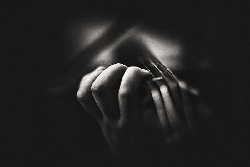 Blossom of Music фото превью