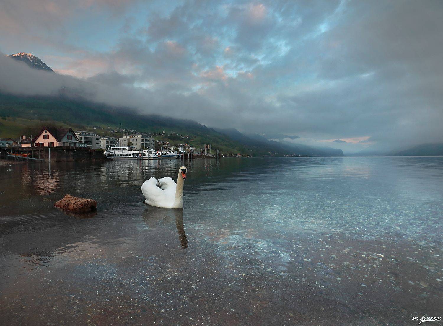 swiss, Матвеев Николай