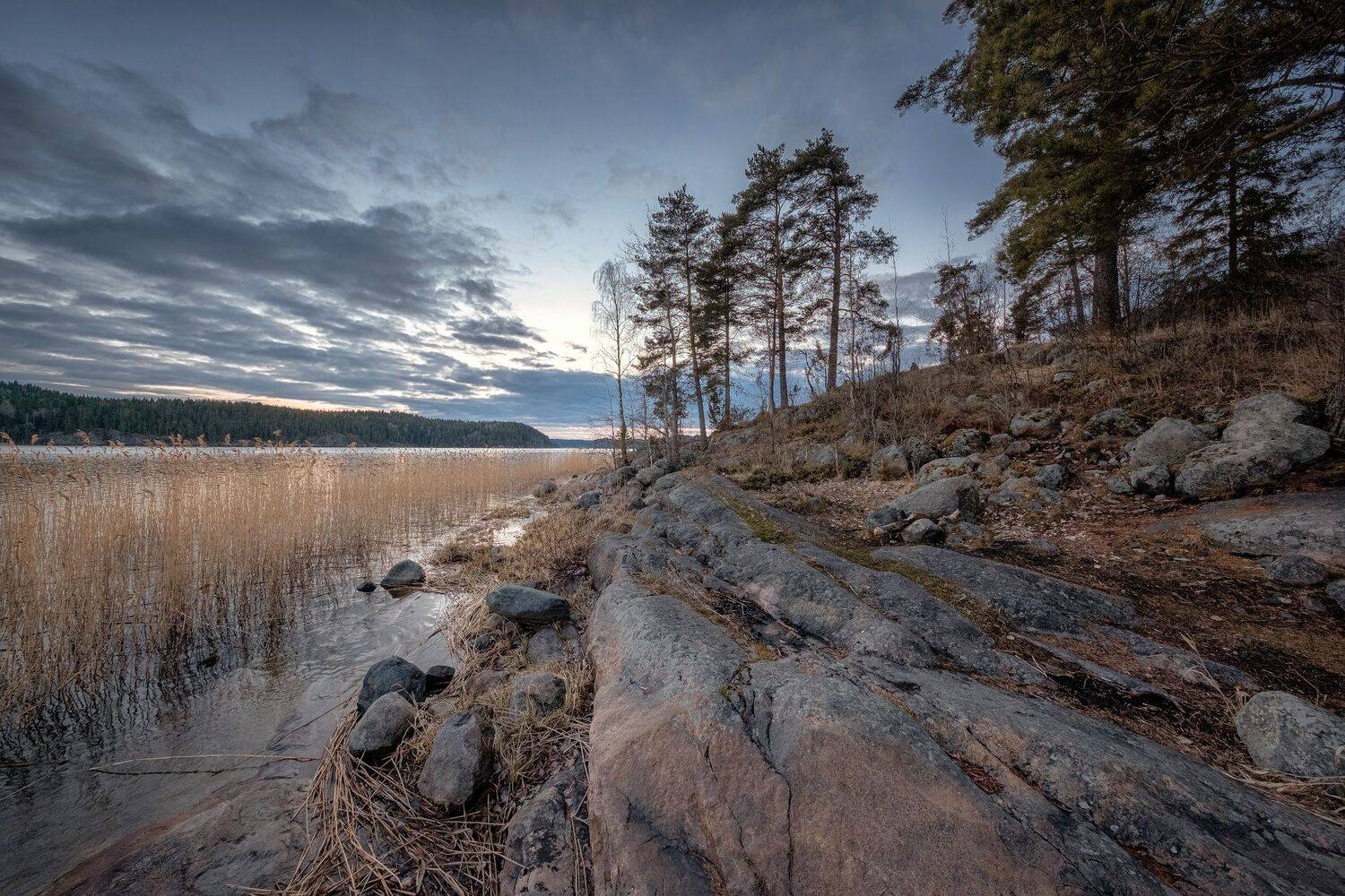 карелия, ладога, залив, закат, скалы, камни, деревья, облака, холод, пейзаж, природа, Андрей Чиж