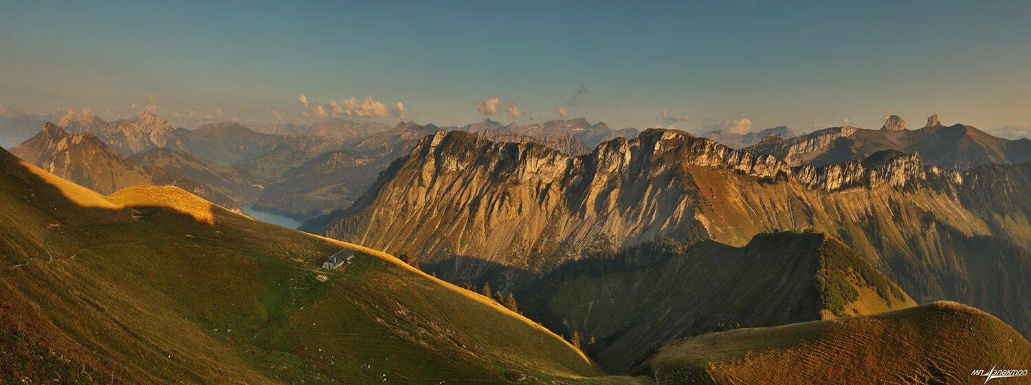 swiss, Матвеев Николай