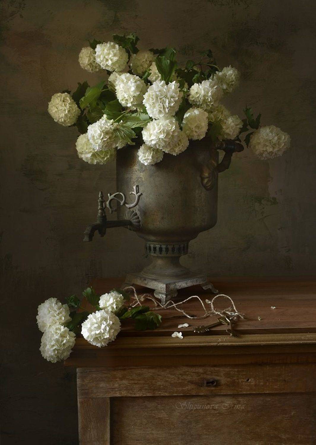 бульденеж, Шипунова Ирина