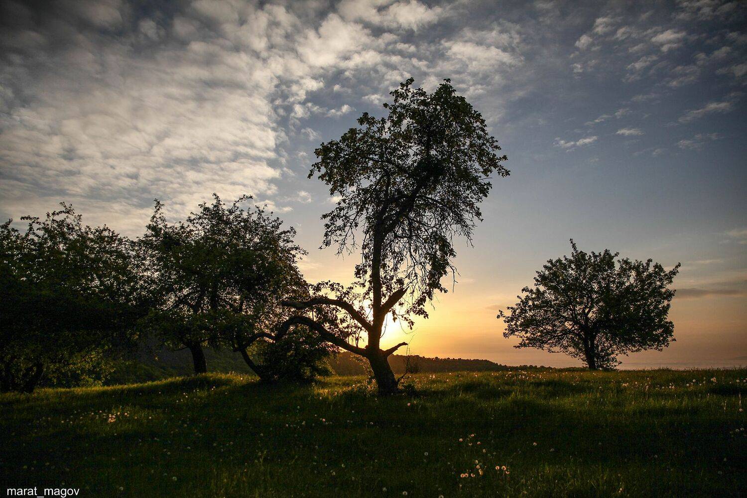 рассвет,горы,вершины,пейзаж,небо,деревья,дагестан,природа, Marat Magov
