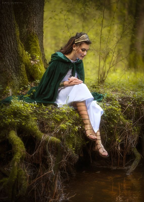 Artemida фото превью