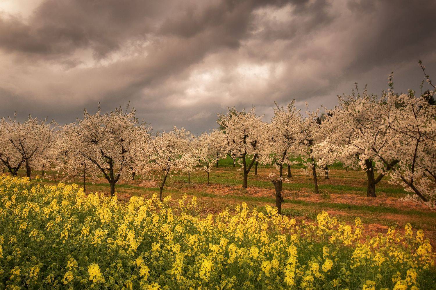 storm, west, spring, color, Krystian