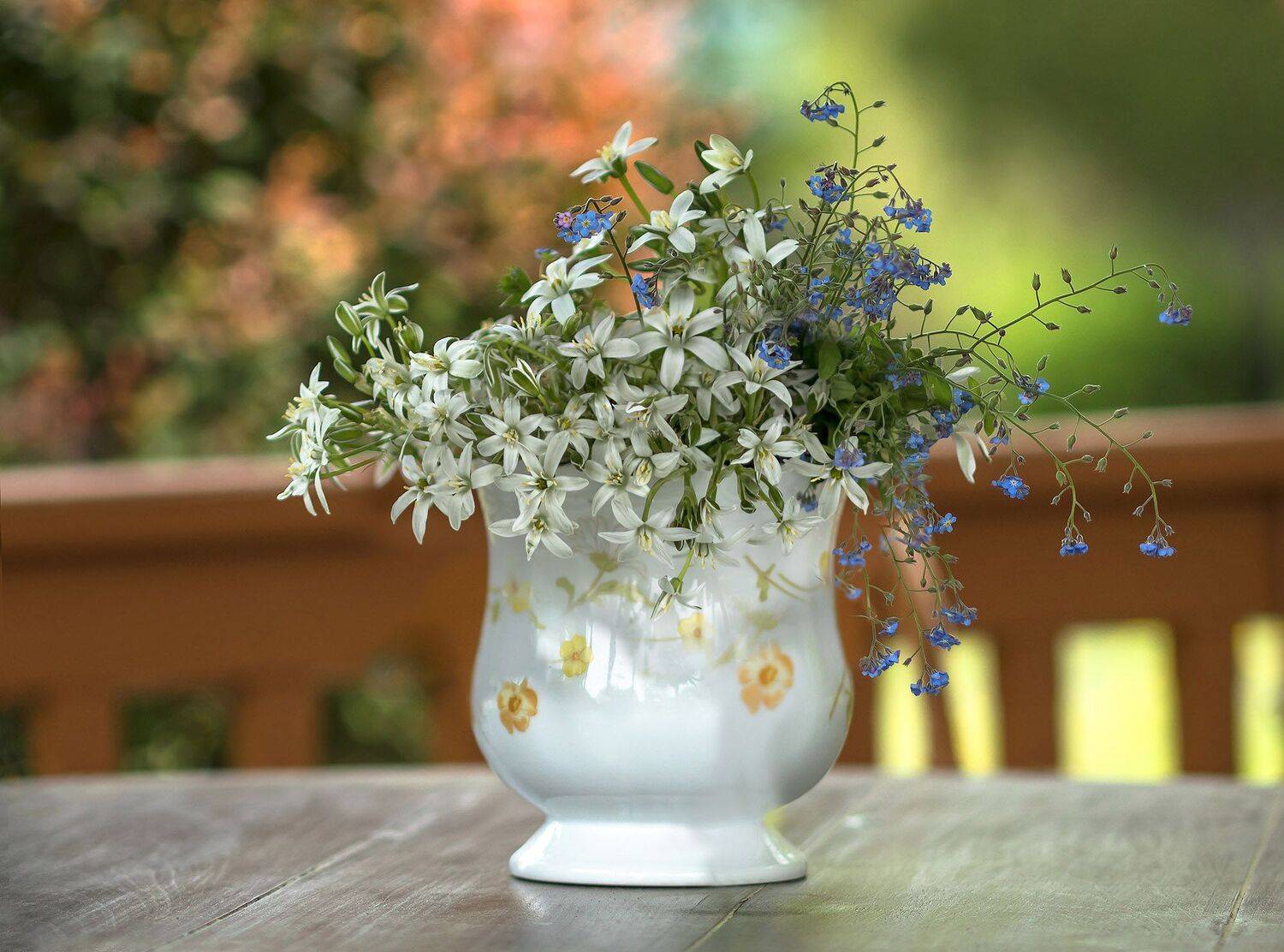 натюрморт,весна,цветы,этюд,незабудки,, Антонина Яновска